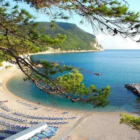 Sandra House * סירולו